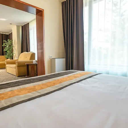 Trotuş Hotel