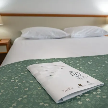 Hotel Trotus Onesti