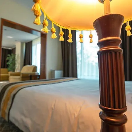 Trotuş Hotel 3*