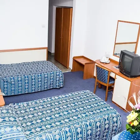 Trotuş Hotel 3*